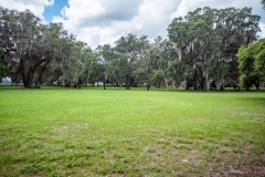 1889-W-Hwy-318-Citra-FL-32113-Exteriors-40-of-63