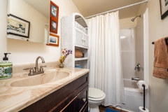 13424-NE-188th-PL-Fort-McCoy-FL-32134-Interiors-Guest-Bathroom