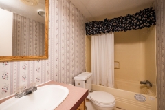 14830-NE-180th-St-House-Interiors-Guest-Bathroom