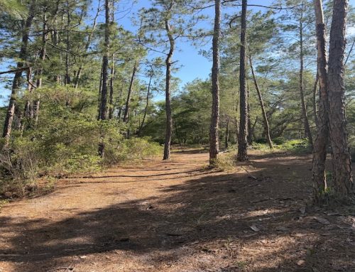 TBD NE 114 AVE ROAD, FORT MCCOY