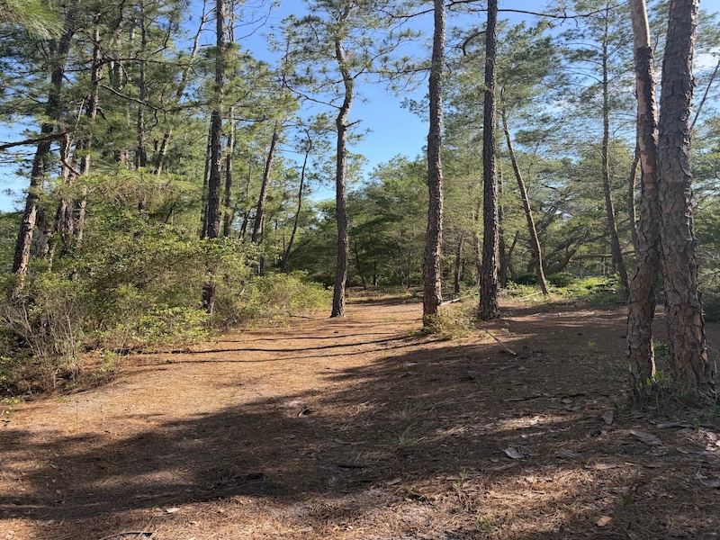 TBD NE 114 AVE ROAD, FORT MCCOY